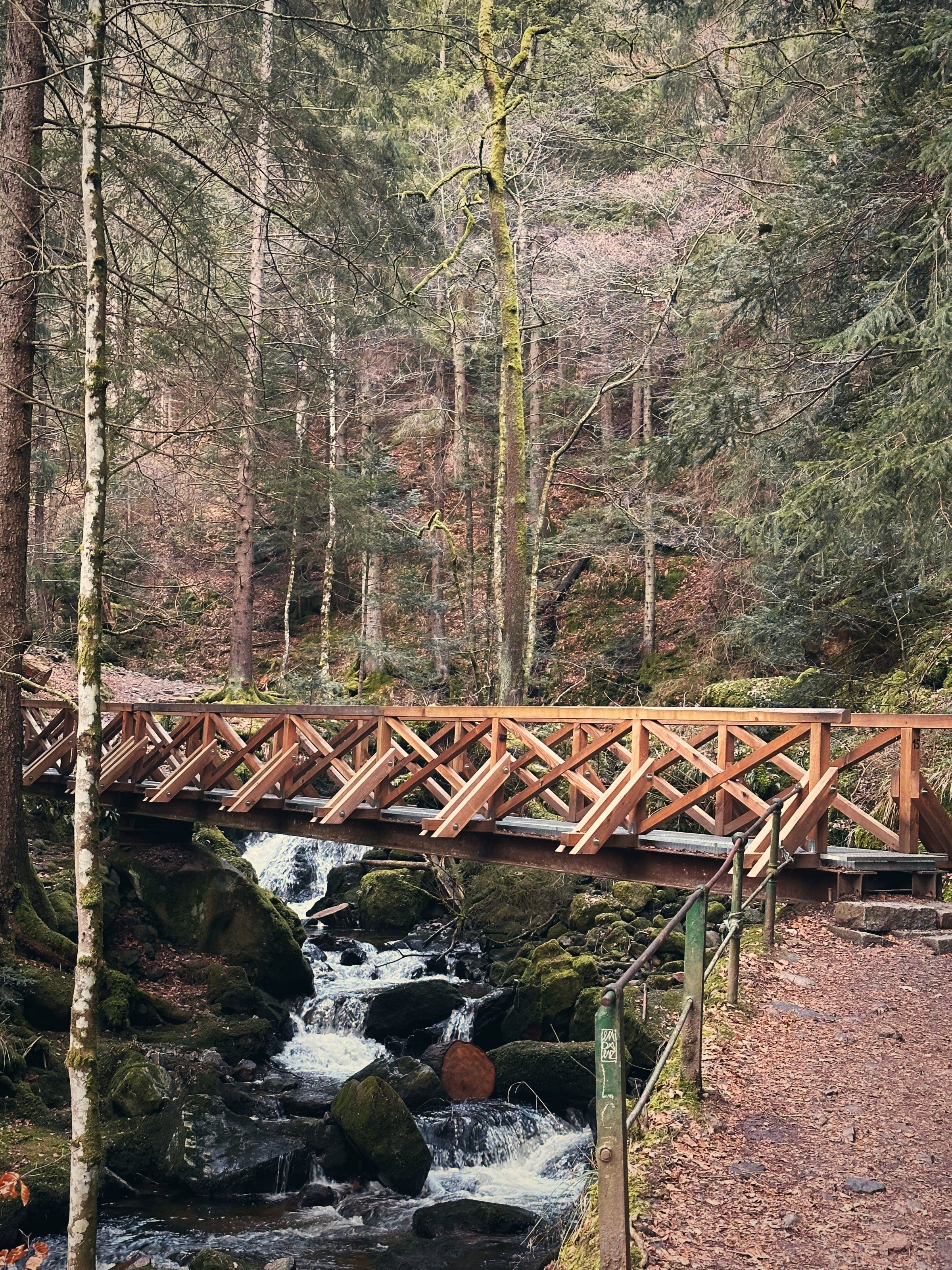 Wooden bridge over a waterfall in the wintry Black Forest