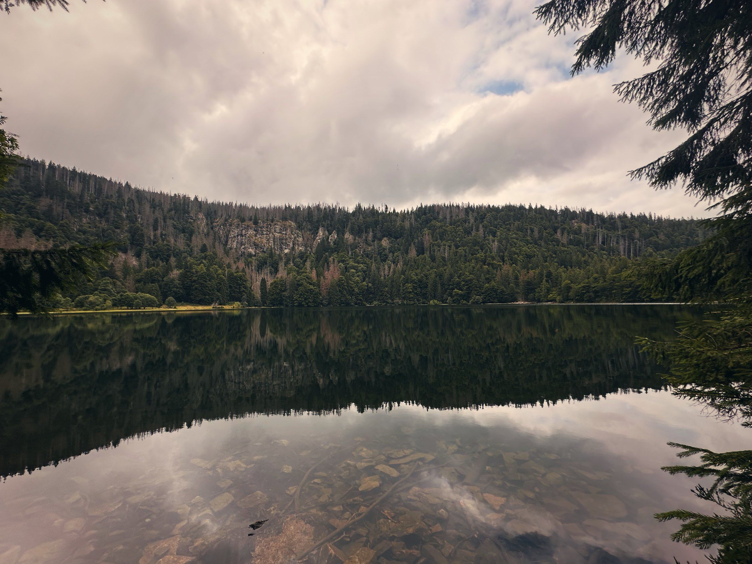 Glassy Feldsee with forest and clouds