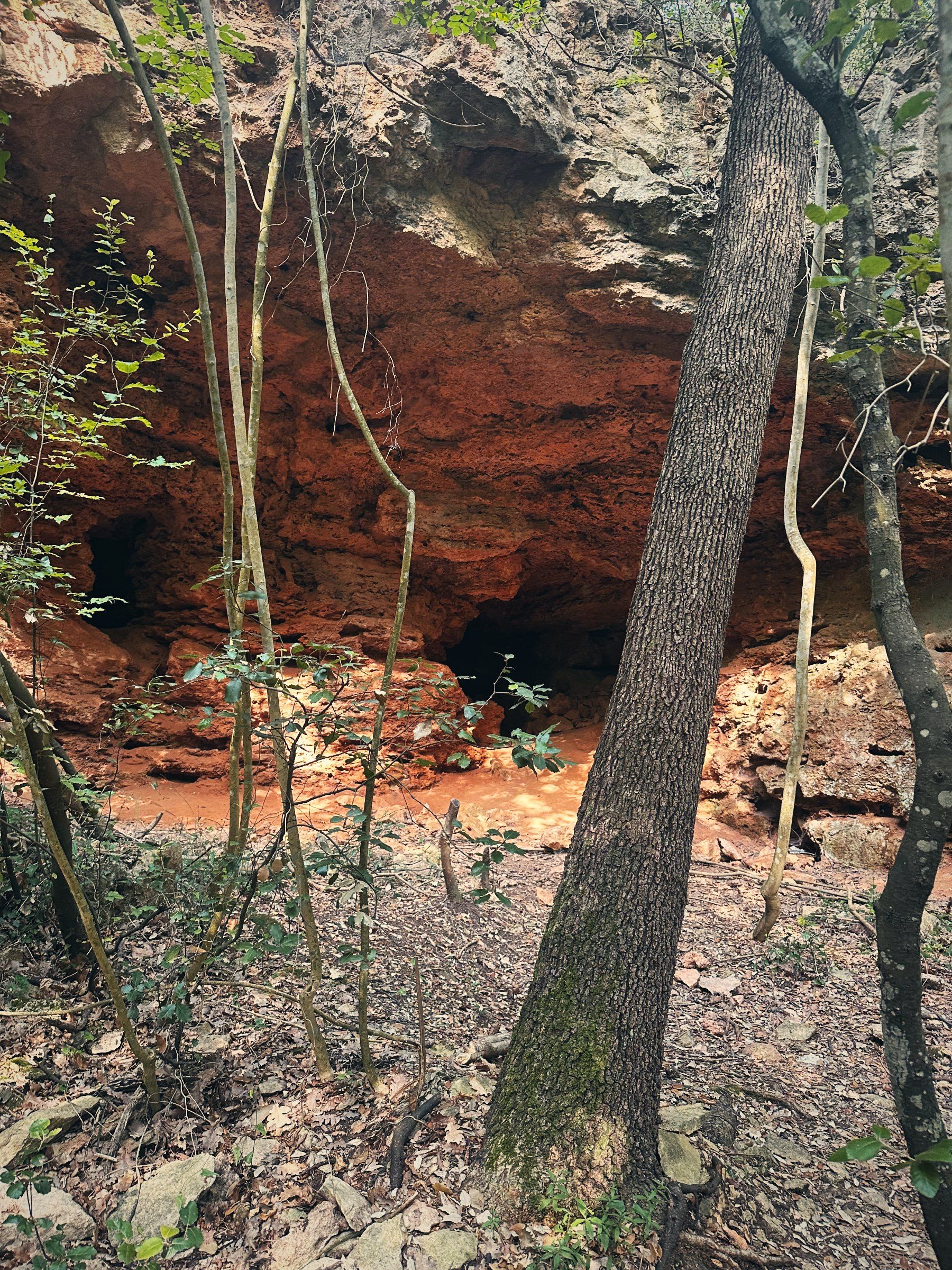Roter Felsüberhang mit kleinen Höhlen im Wald