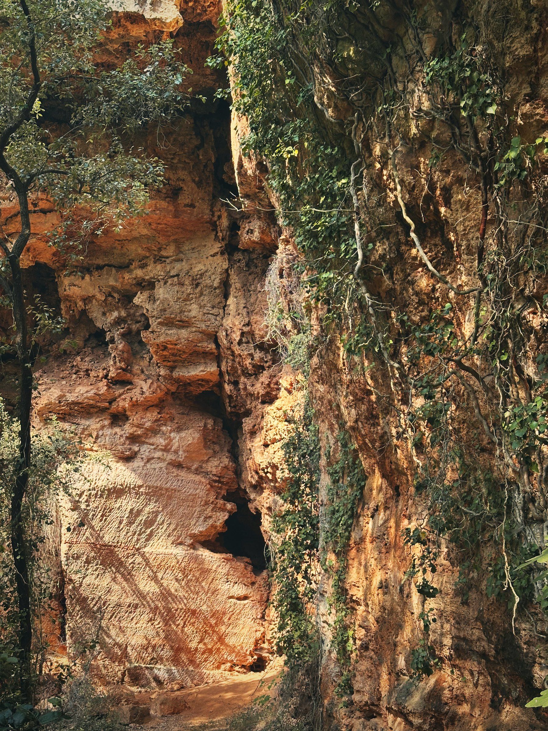 Schlucht aus rotem Fels mit Bäumen