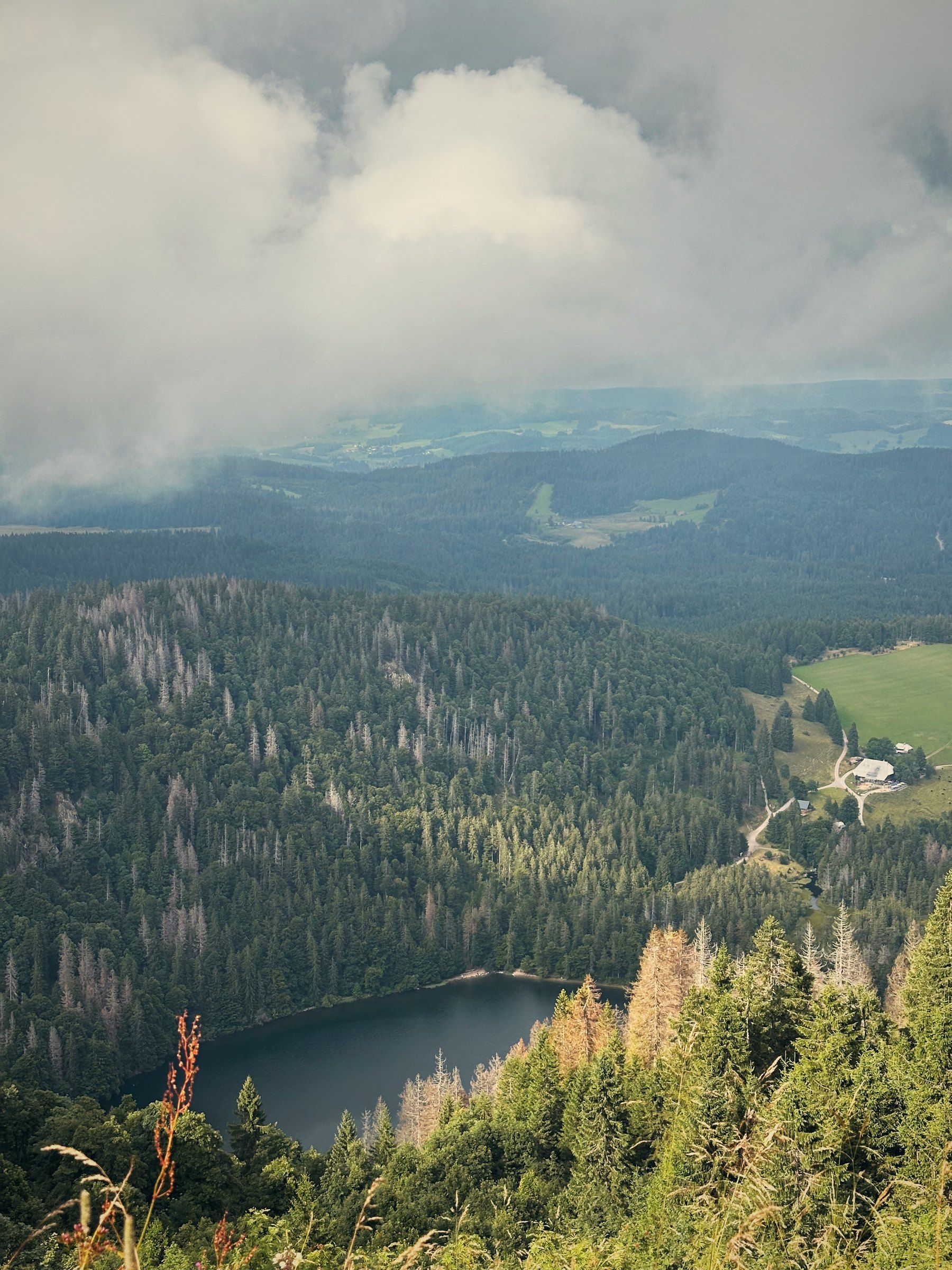 Der Feldsee von oben im Kar zwischen Wäldern