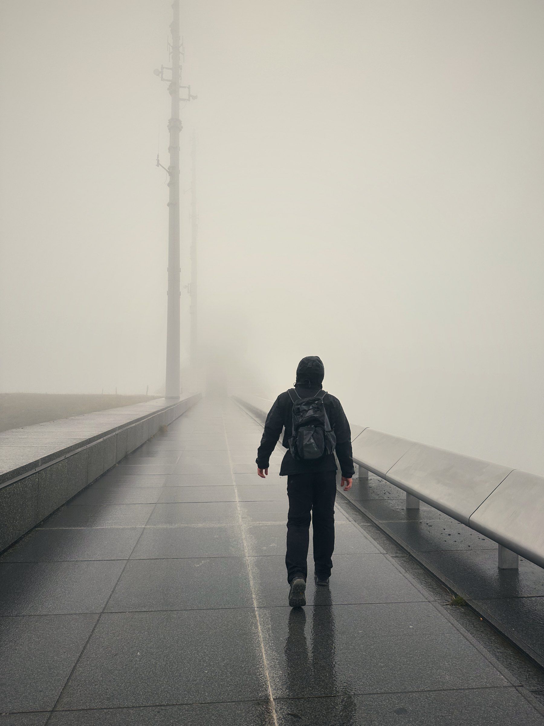 Tea walking along a walkway into the fog