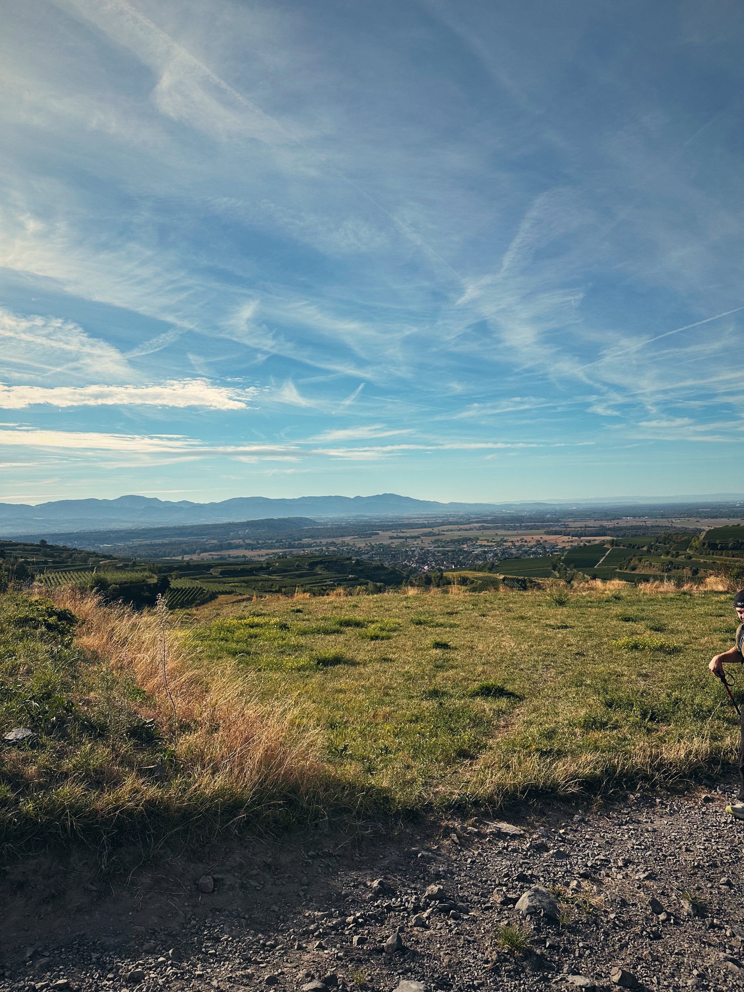 View from the Kaiserstuhl over the Rhine plain
