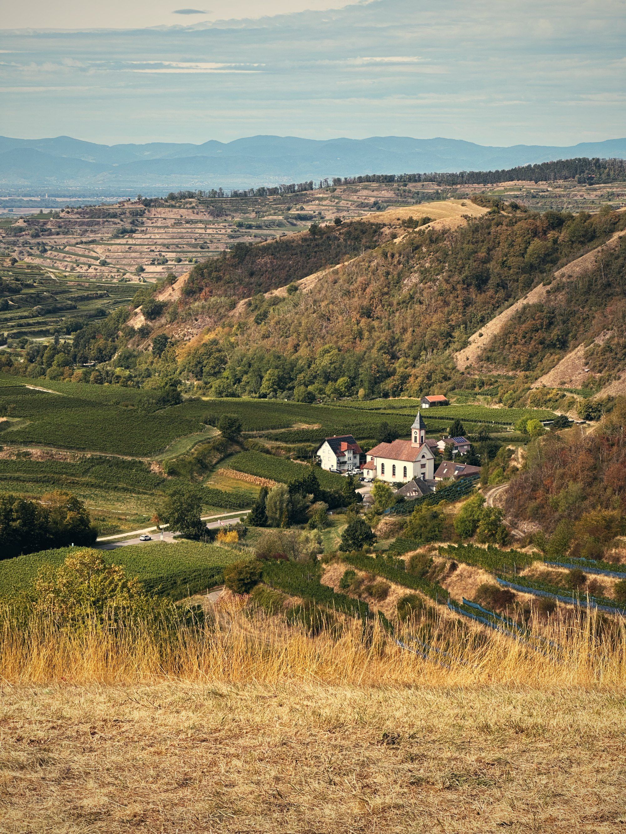 Weinbergterrassen und eine kleine Kirche im Tal, dahinter die Vogesen