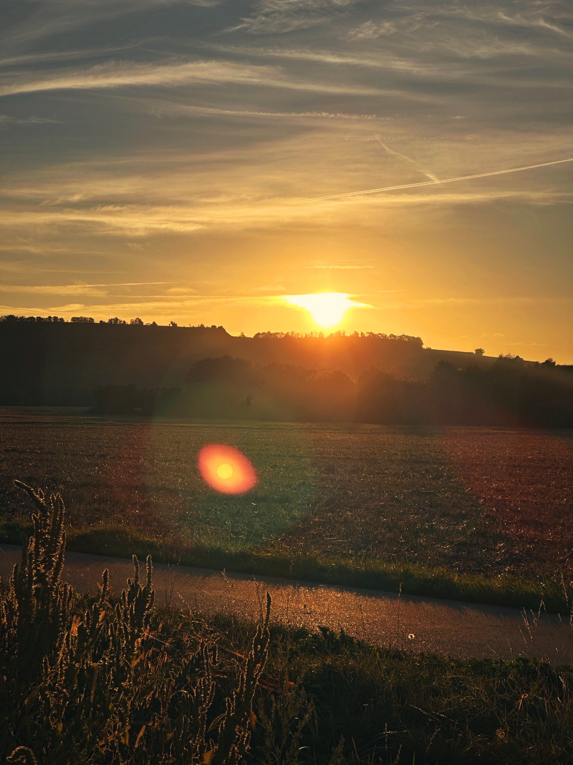 Sonnenaufgang über einem Feld am Kaiserstuhl