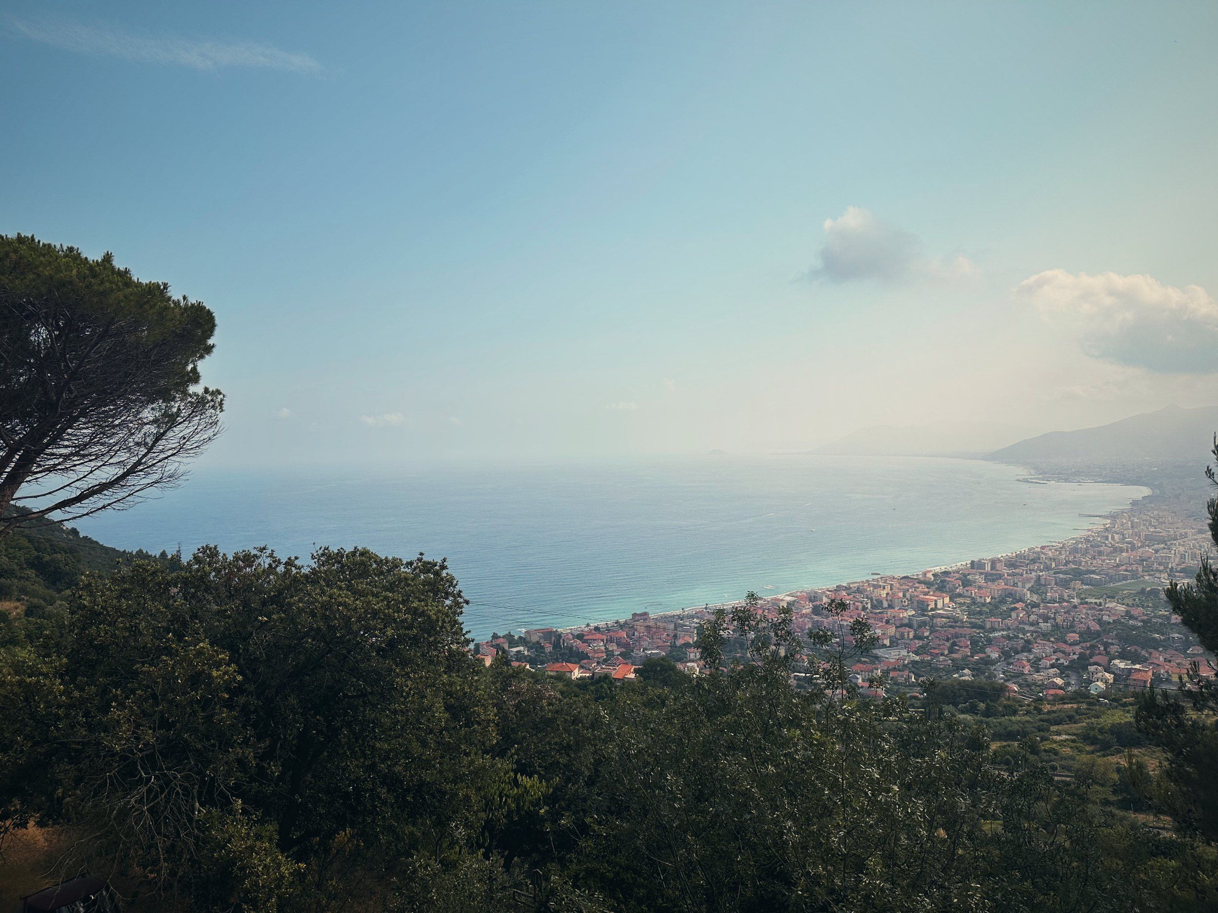 Pines and a view over the Ligurian coast to the sea