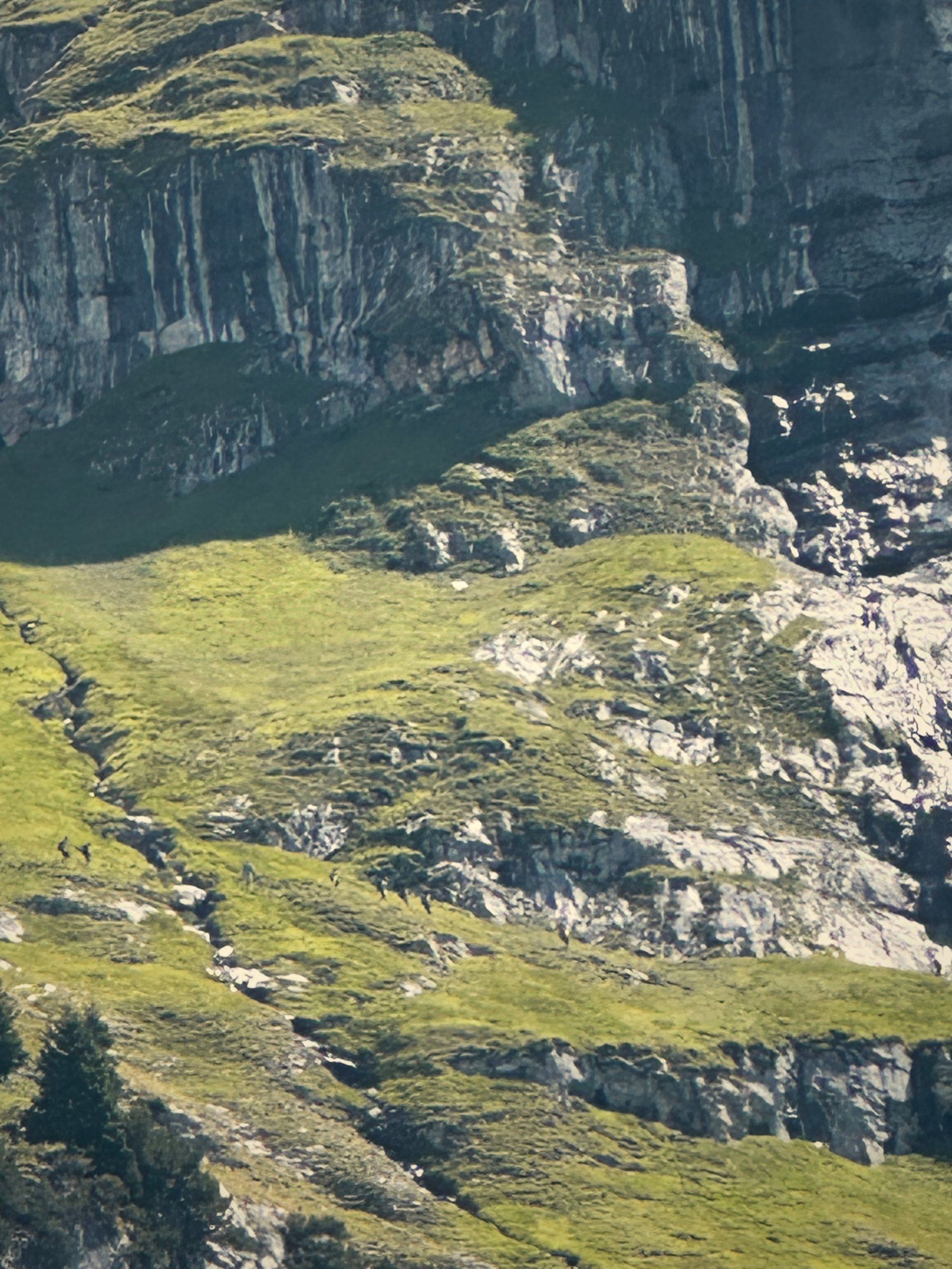 Steile Felswände mit grünen Bändern
