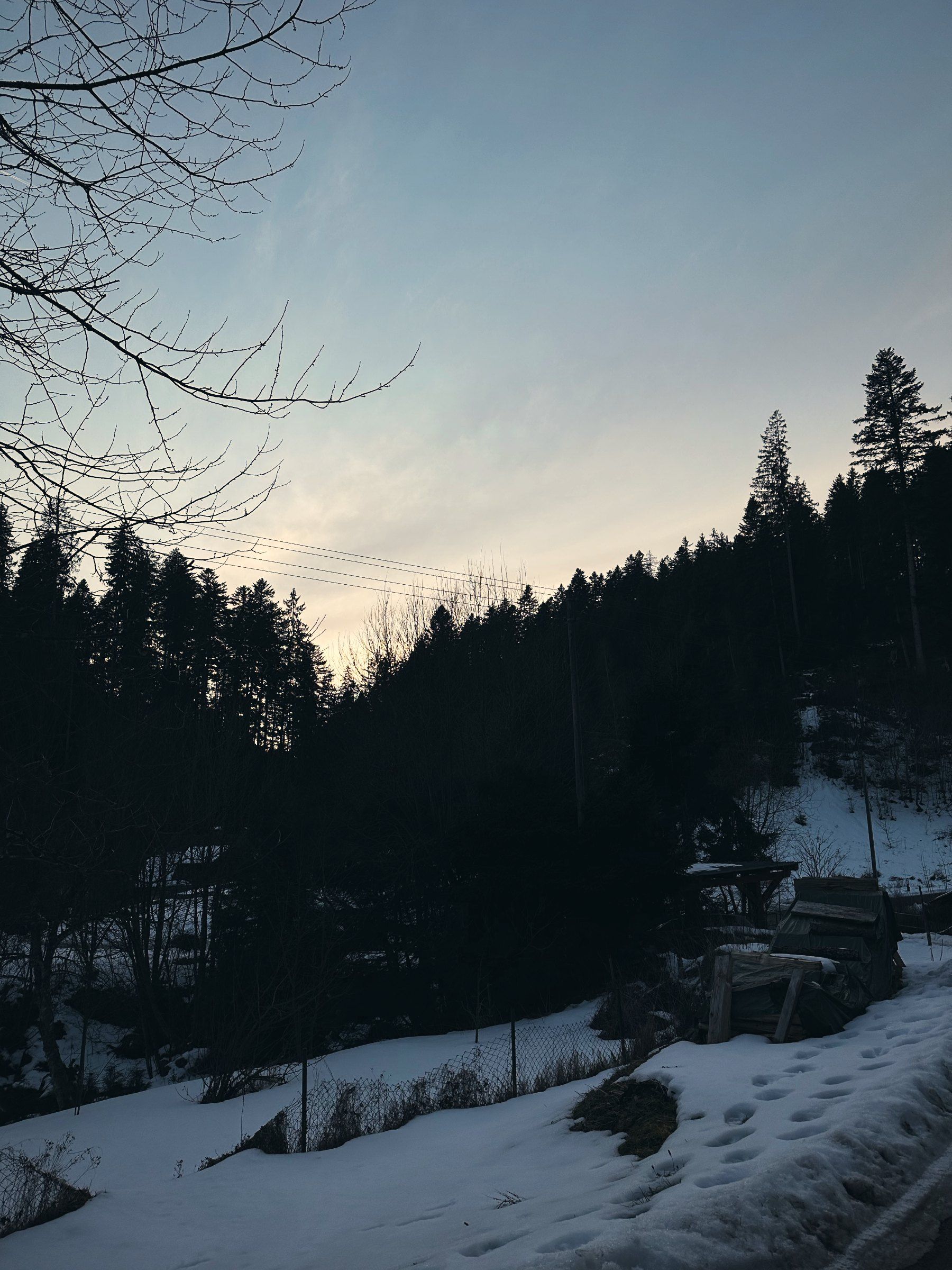 Blaue Stunde über verschneiten Wiesen und Wald