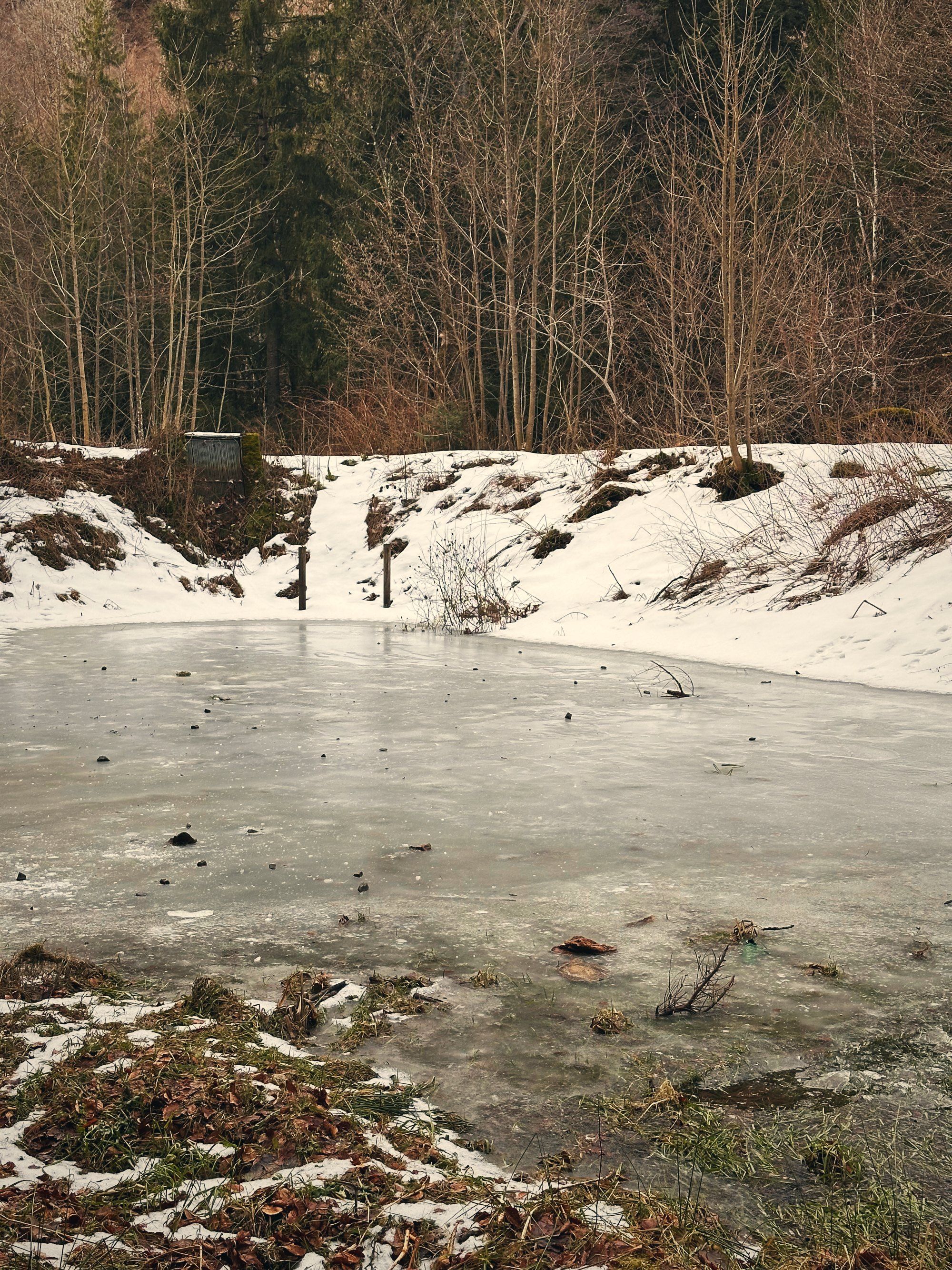 Zugefrorener Weiher mit Schneeresten am Ufer