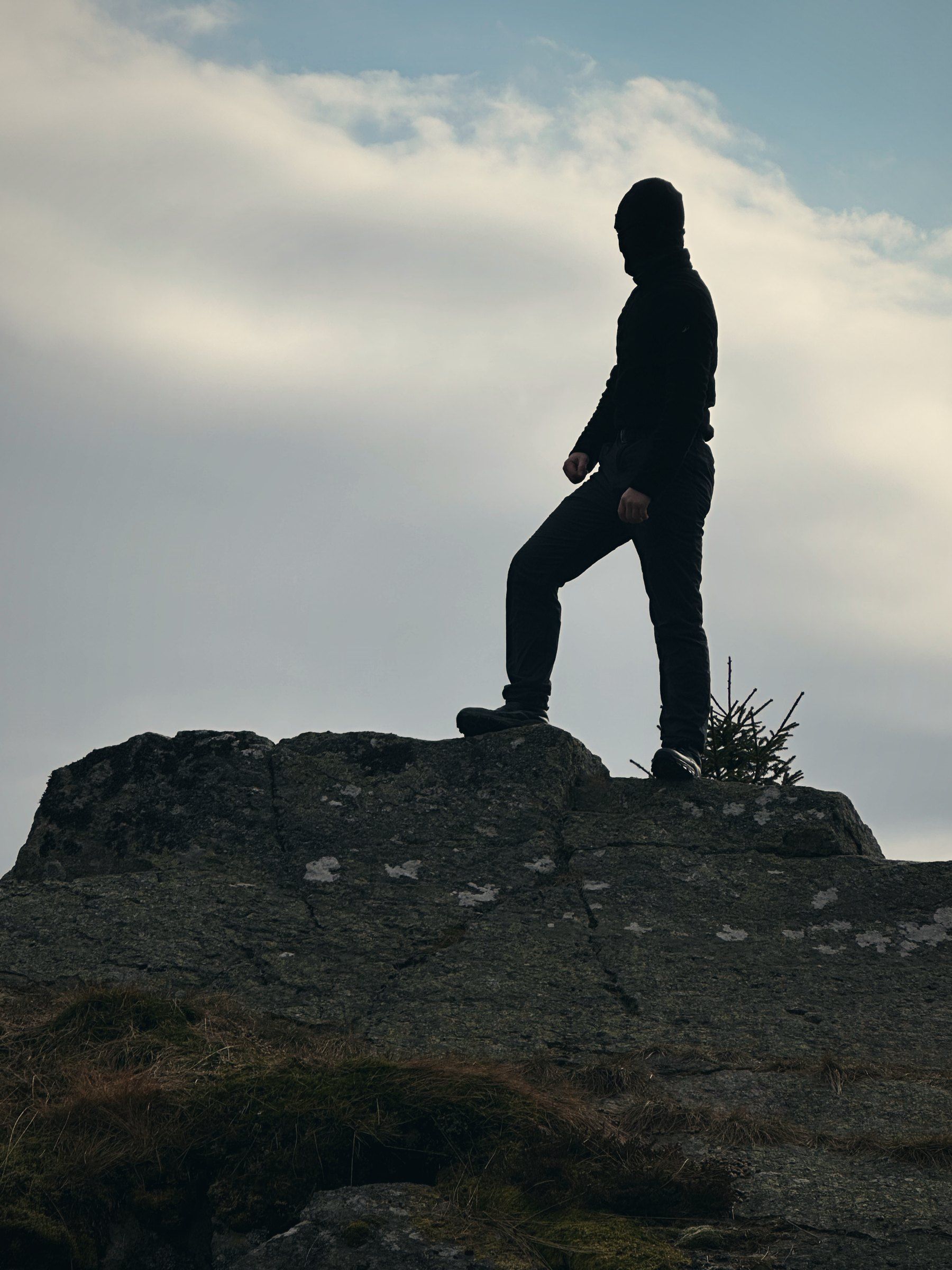 Silhouette of Tea on a rock against clouds