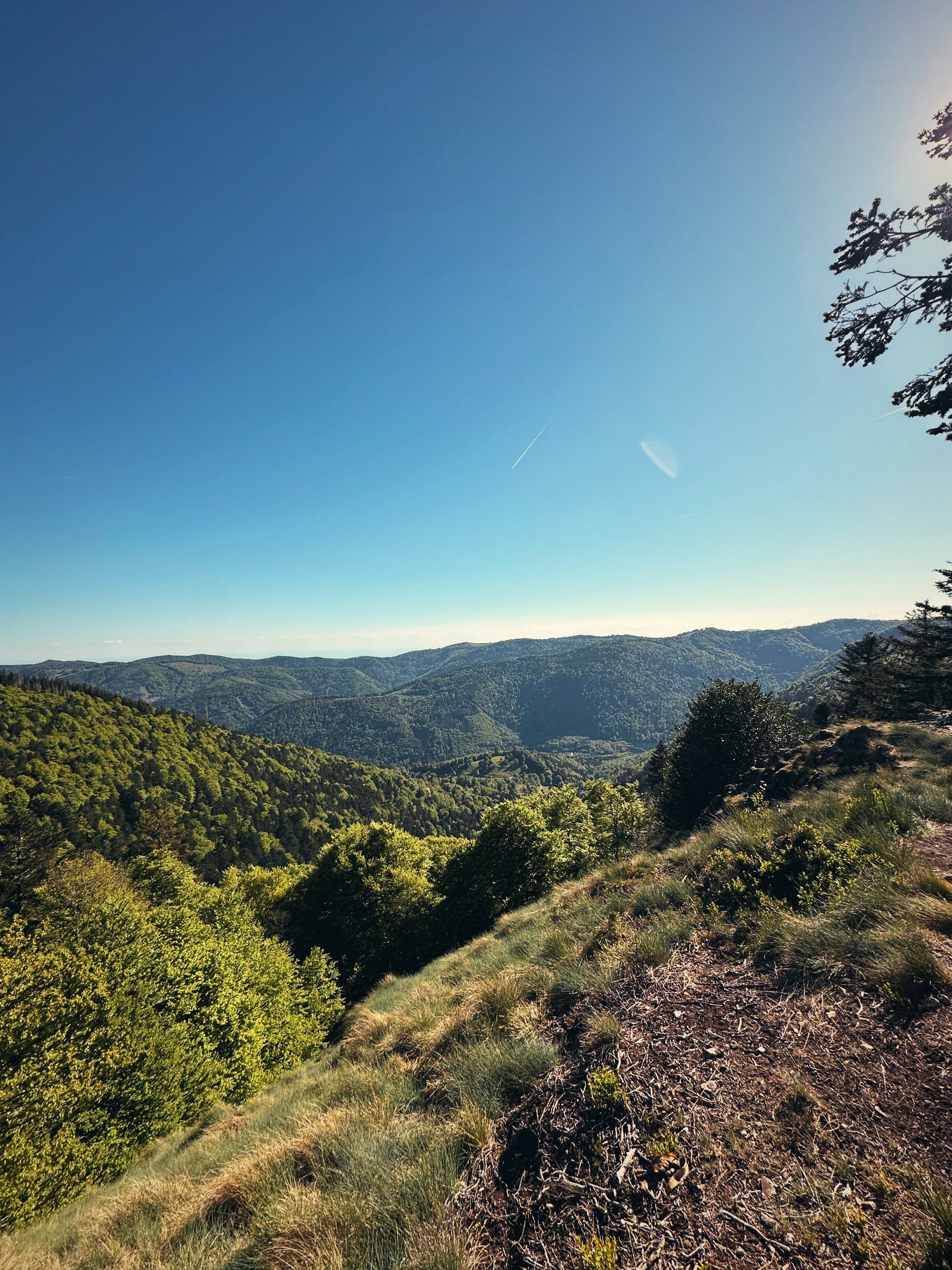 Blick über die bewaldeten Täler der Südvogesen