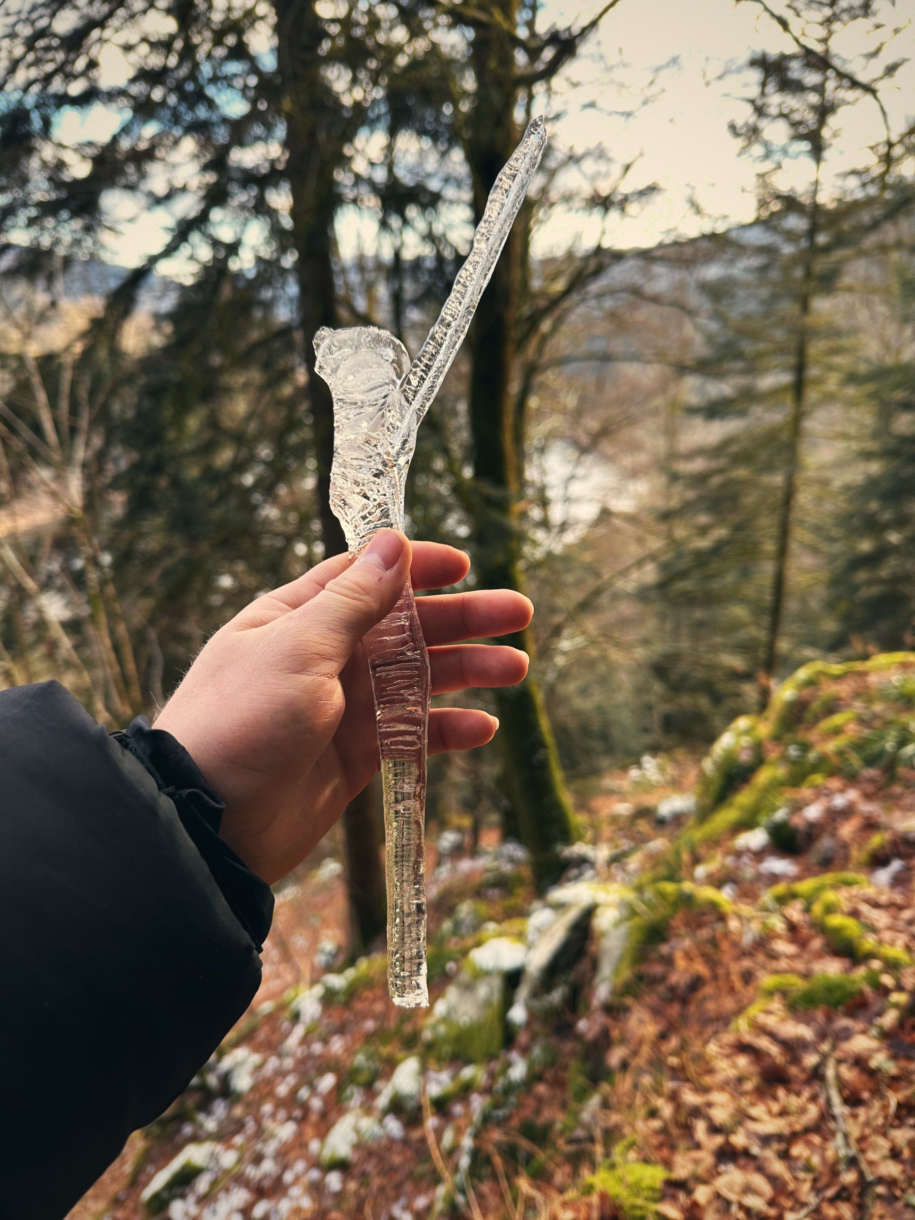 Eine Hand hält einen langen Eiszapfen