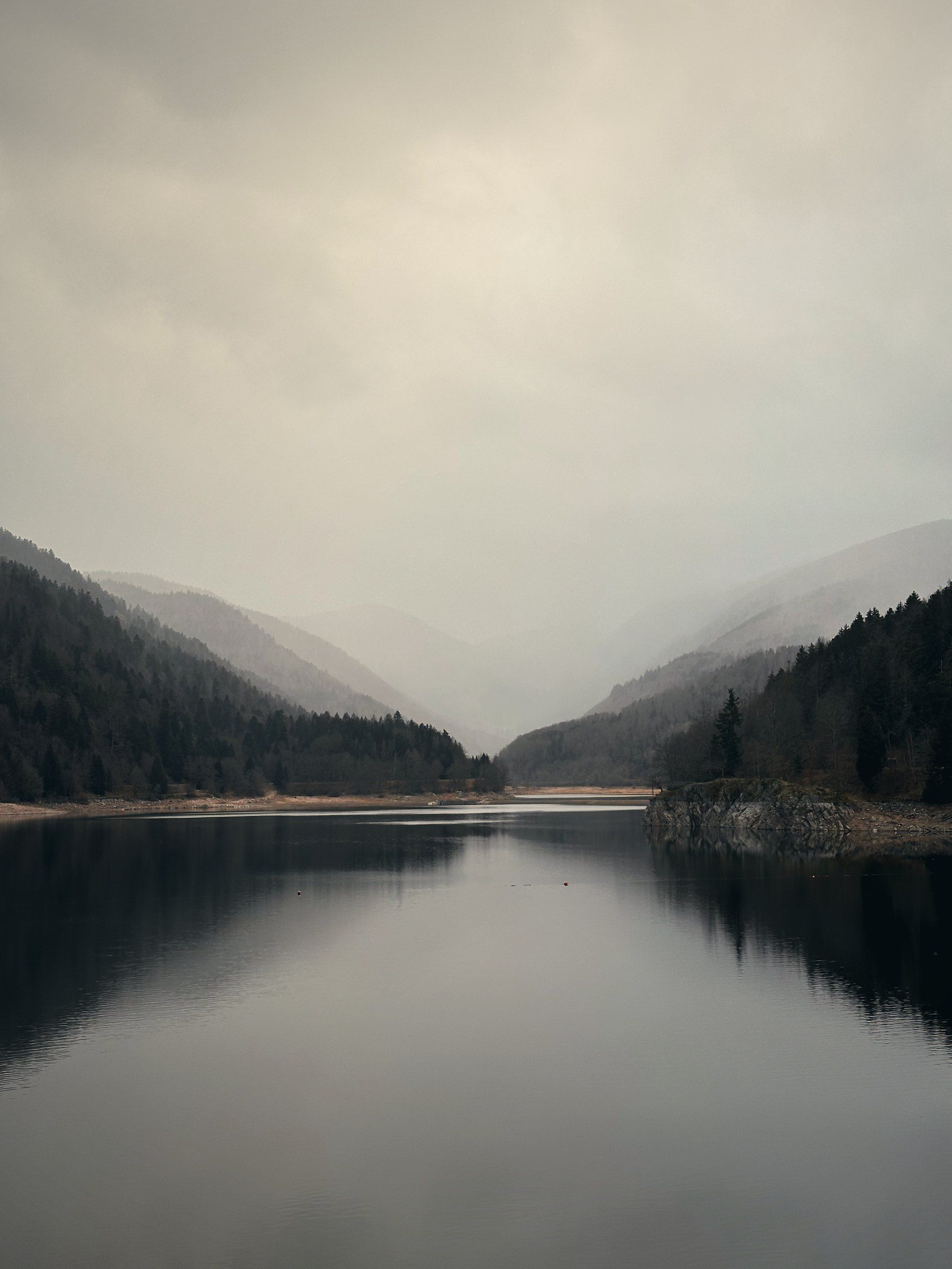 Der See im Morgennebel zwischen bewaldeten Hängen