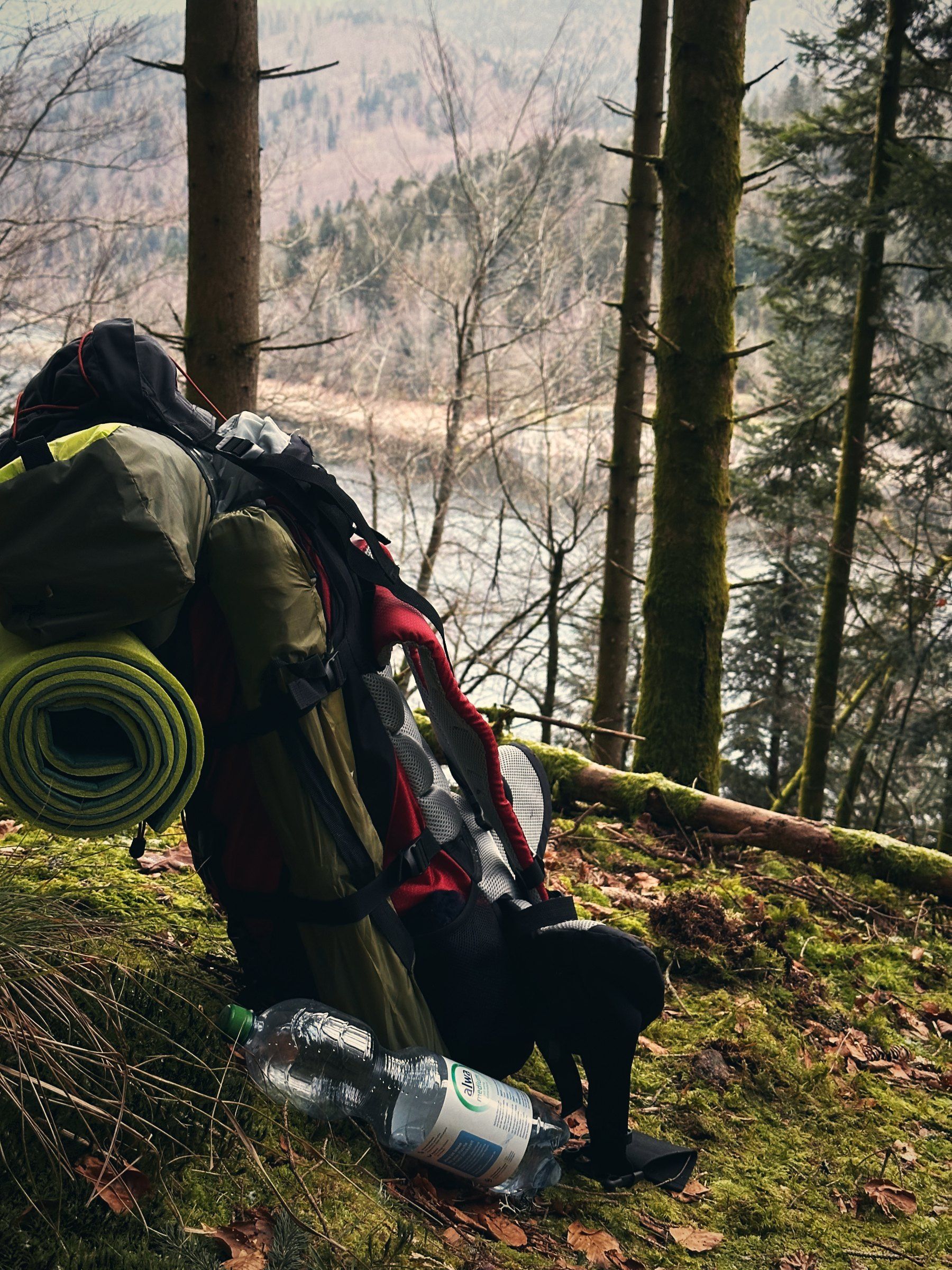 Gepackter Rucksack mit grüner Schaumstoffmatte an einem Baum