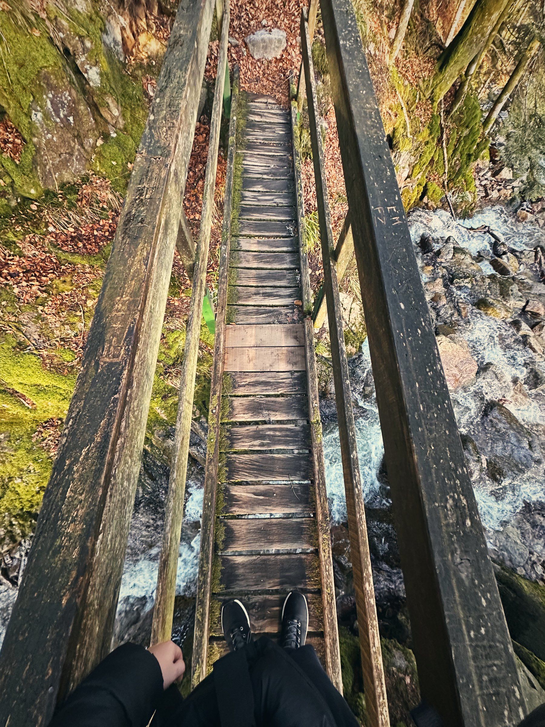 Blick über einen schmalen Holzsteg im Winterwald